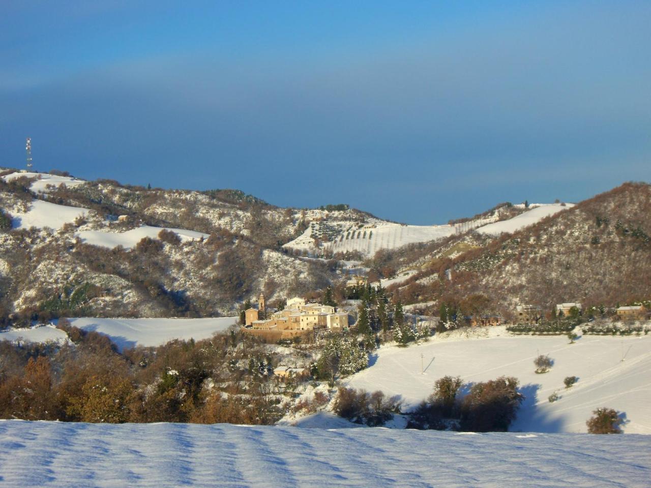 Agriturismo Pozzuolo Serrungarina Экстерьер фото