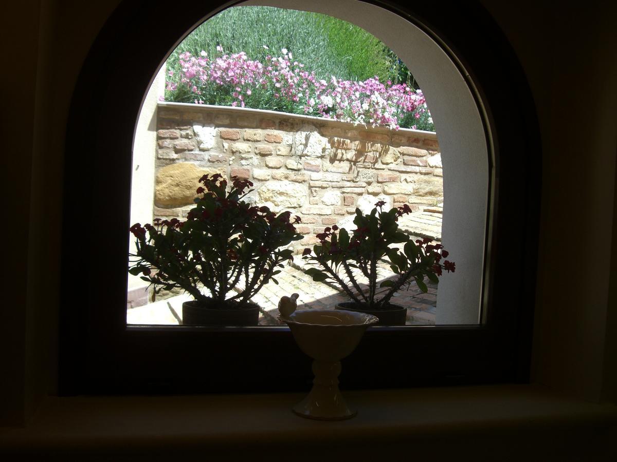 Agriturismo Pozzuolo Serrungarina Экстерьер фото