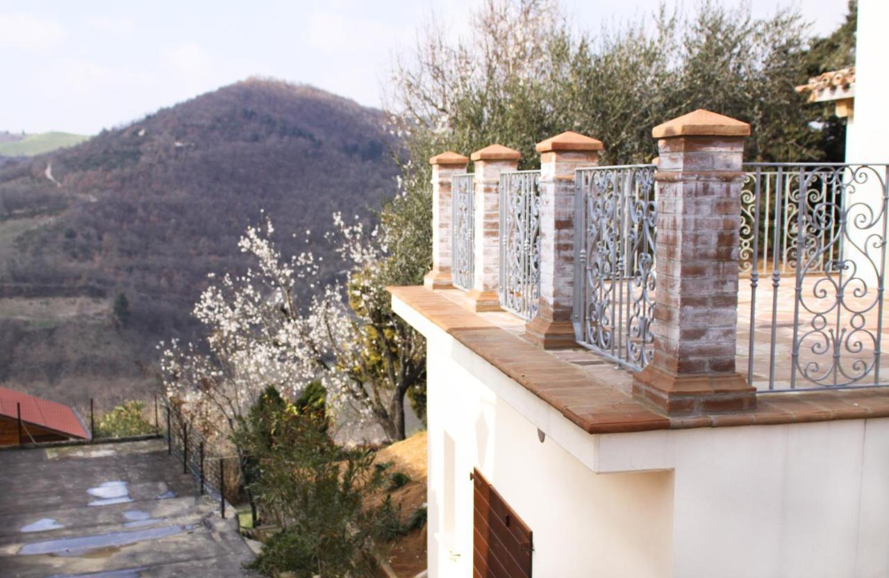 Agriturismo Pozzuolo Serrungarina Экстерьер фото